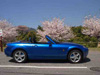 201002010602.jpg